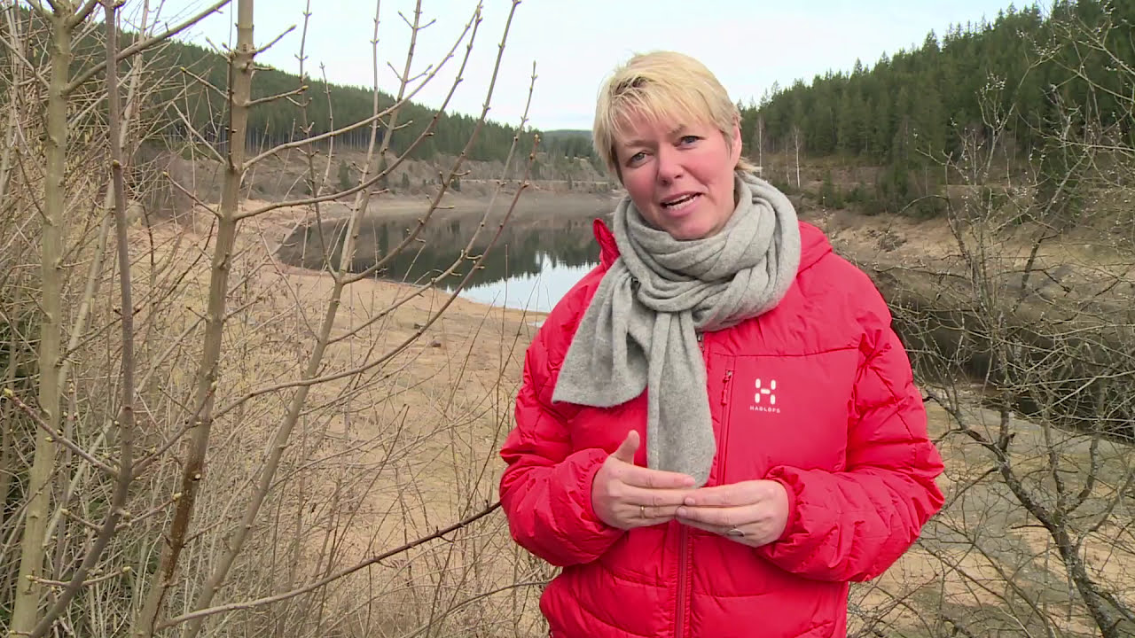 Anne-Vibeke Rejser, Harzen - S&aring; fantastisk er der Nationalpark Harzen - ogs&aring; uden for h&oslash;js&aelig;sonen