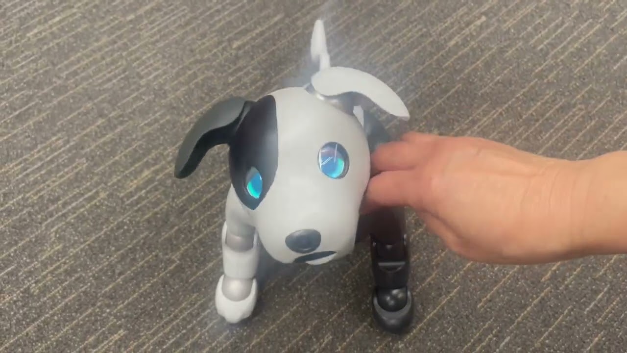 犬型ロボットアイボ🐶ここまですごい🙌