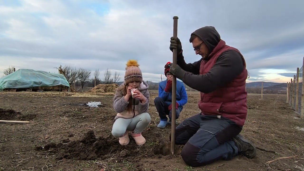 De ce Romania?/Ce proiect am inceput?