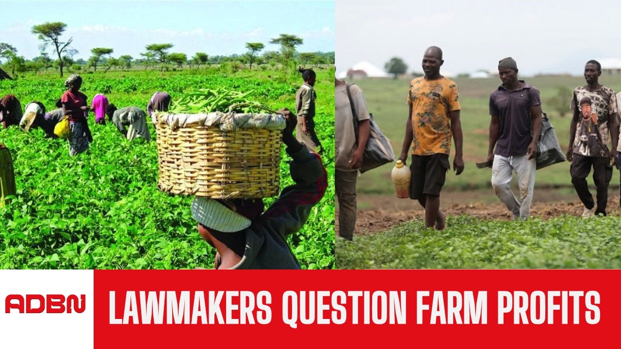 Lawmakers Raise Concerns Over Farmers' Poor Returns