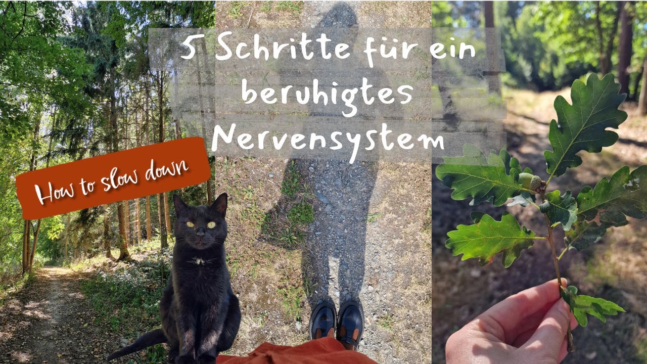 5 Schritte dein Nervensystem zu beruhigen; how to slown down ~ slow living vlog~ cozy & calm 🕸🍂🐌