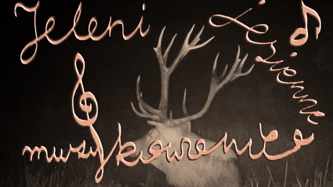 Jeleni jesienne muzykowanie