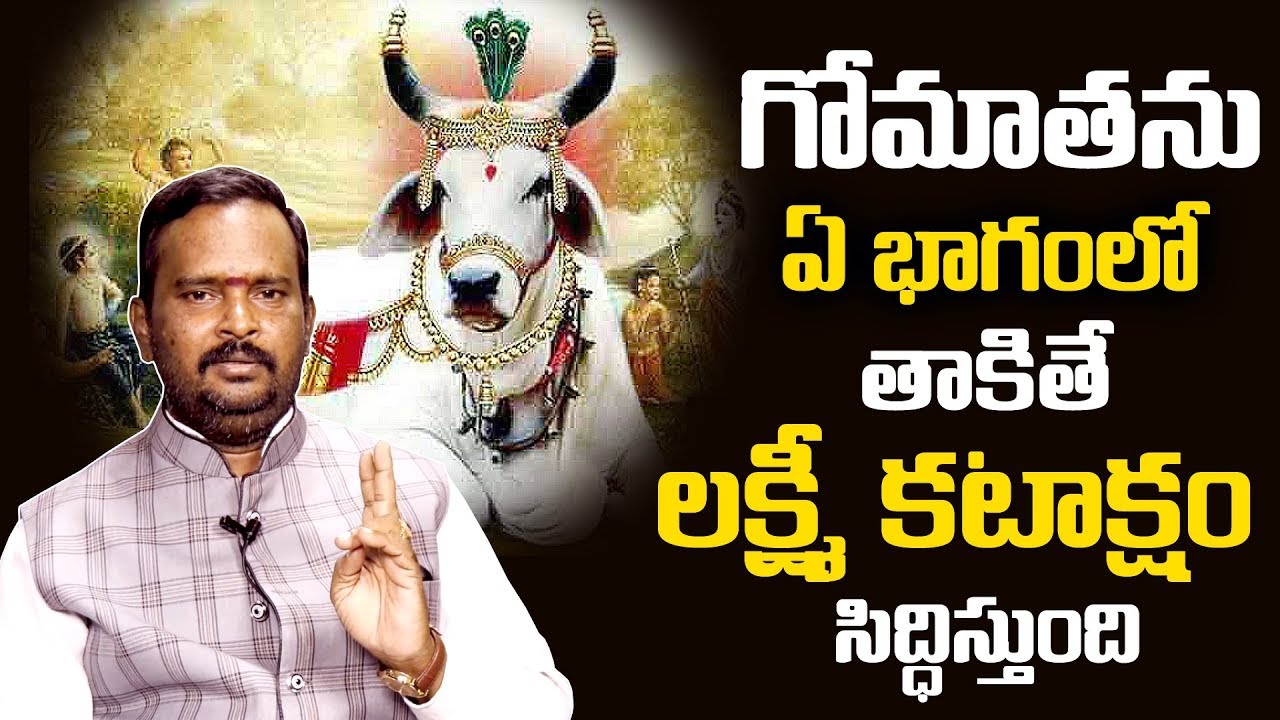 Gomatha Pooja: Acharya Anantha Krishna Swamy about Gomatha Pooja Benefits