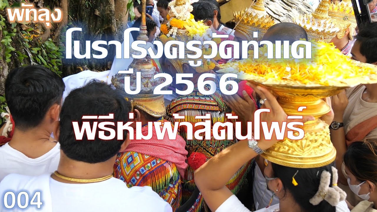 โนราโรงครูวัดท่าแค 2566 : พิธีห่มผ้าสีต้นโพธิ์ : 2566_05_04 พัทลุง
