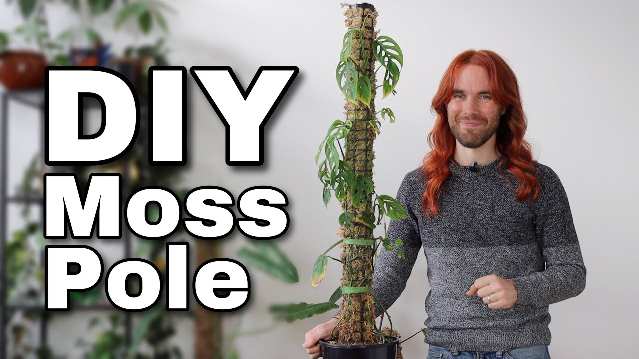 How To Make A Moss Pole