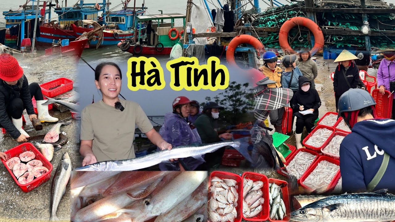 Hành Trình Miền Trung | Cảng Cá Cửa Sót, Cồn Gò vào CÁ NHÁI DÀI NỮA Mét Đón không khí lạnh đầu năm