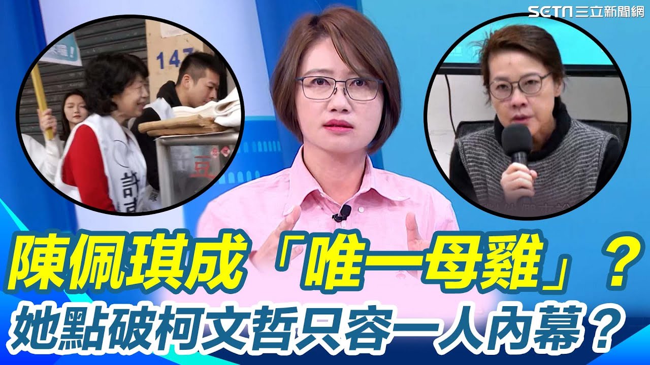 林延鳳酸爆民眾黨：眼裡只有柯文哲！黃珊珊遭排擠邊緣化 陳佩琪成「唯一母雞」？若選台北市長真能外溢到新北嘉義？恐引爆「負面外溢效應」？｜94要賺錢