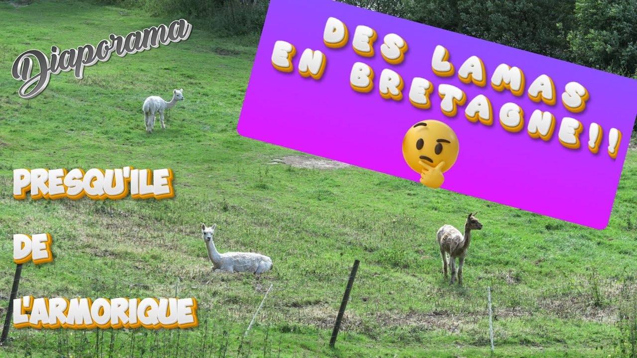 Un diaporama de deux randonnées, la Vallée des papeteries et la Presqu'île de l'Armorique