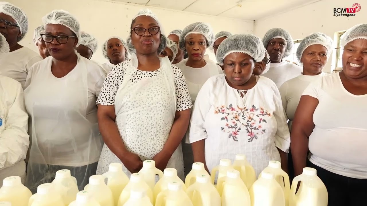 BCMTV : BCMM WARD 21 BIG PLANS IN PRODUCING DAIRY PRODUCTS