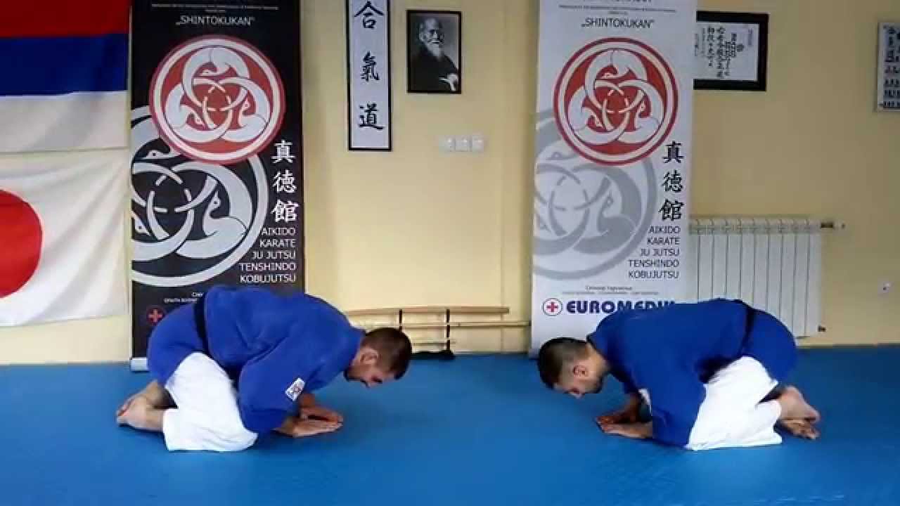 DaiShin Ryu Ju Jutsu - 大心流柔術