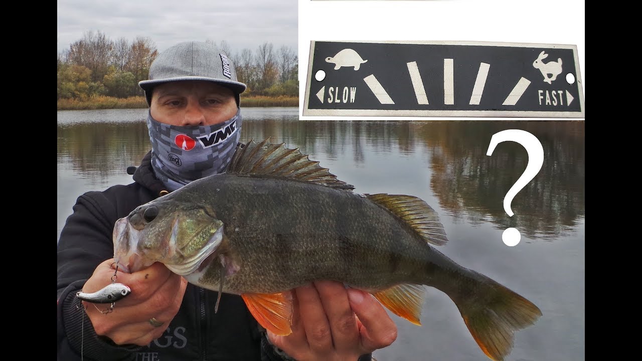 Gyorsan vagy lassan?