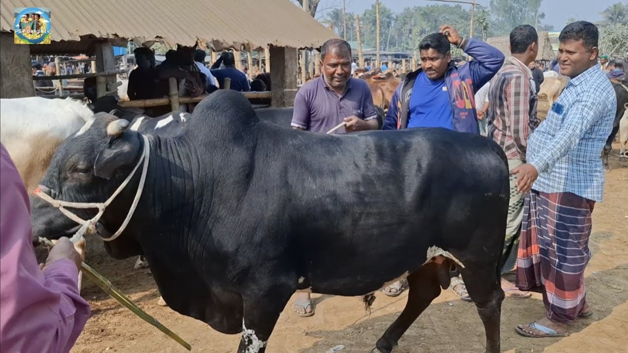 @ আজ সোমবার ১৯ জানু