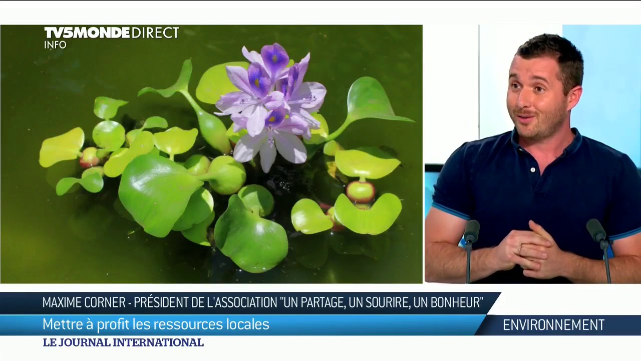 environnement : des solutions durables pour la jacinthe d'eau