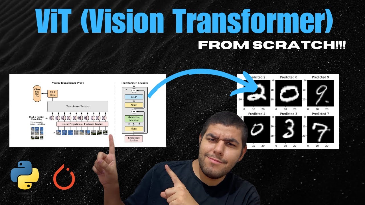 Implement and Train ViT From Scratch for Image Recognition - PyTorch