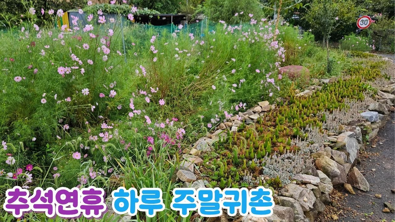 추석연휴 하루 주말귀촌해서 가을의 계절을 느끼고 왔습니다...