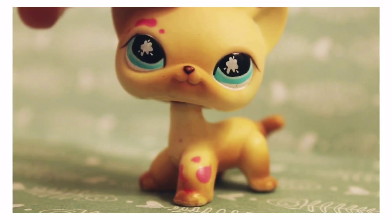 - LPS: Все мои стоячие кошки -