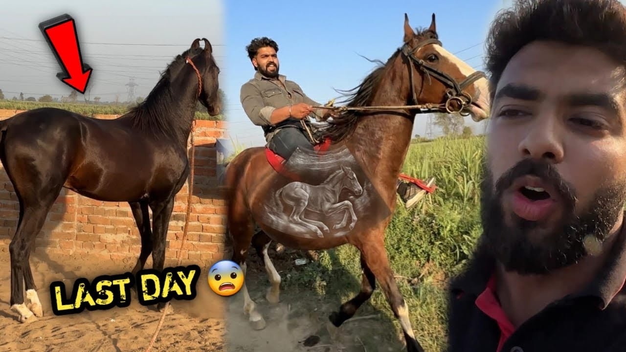 Abhinetri Ke 11 Mahine Pure Ho Gye 🥳Last Day Pr Humne Ye Kya Kardiya Iske Saath 🥵