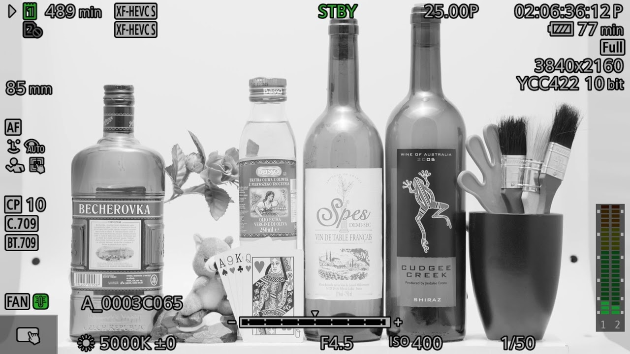 Canon EOS C50 – Menu kamery