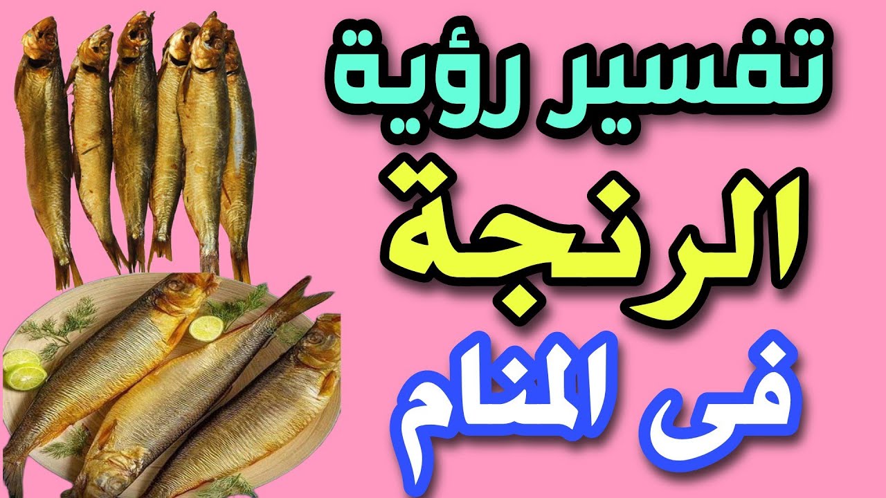 تفسير رؤية الرنجة فى المنام رؤية أكل الرنجة فى المنام