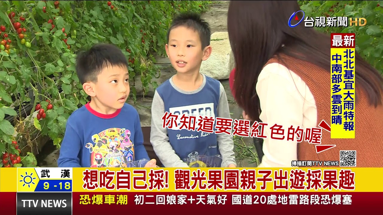 想吃自己採！ 觀光果園親子出遊採果趣