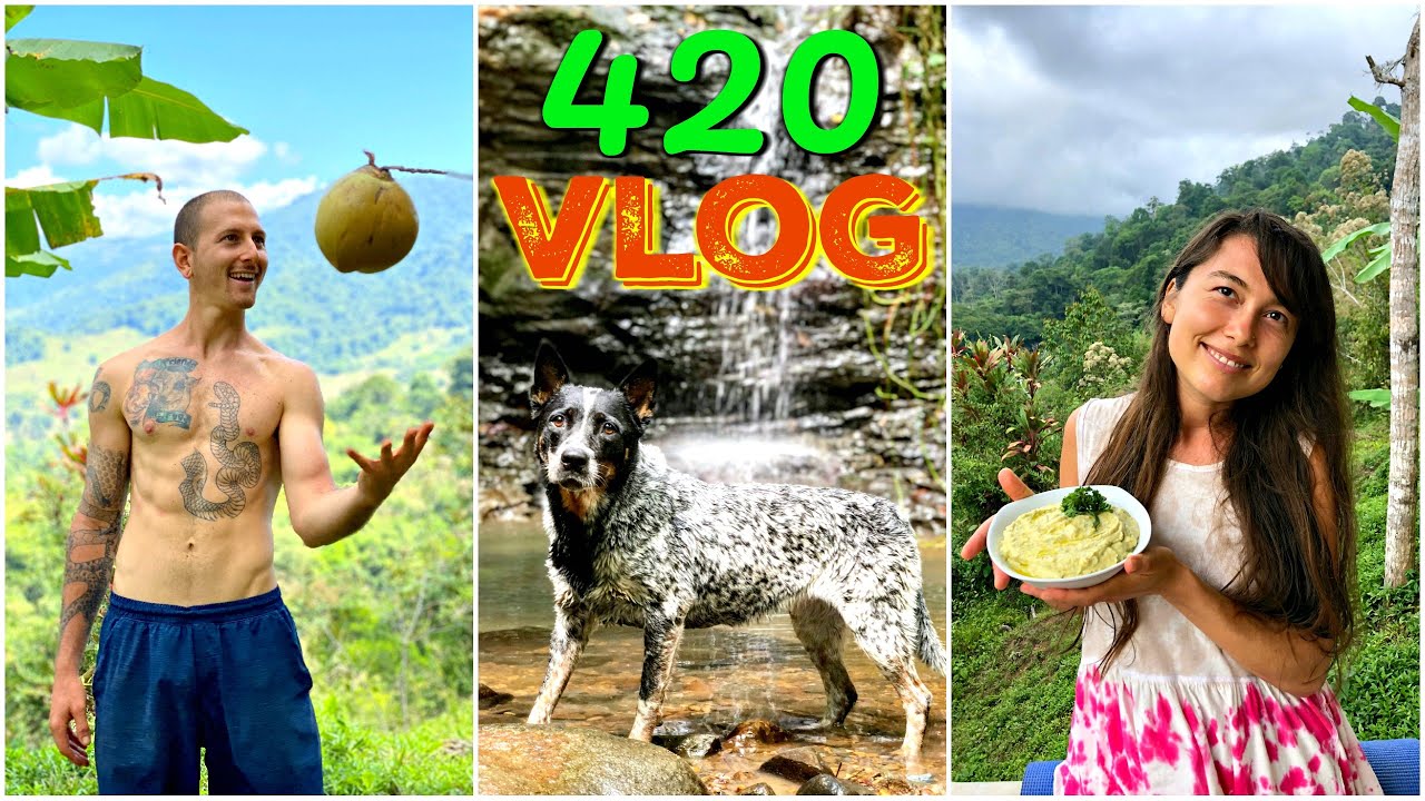 Our High Vibe Vegan 420