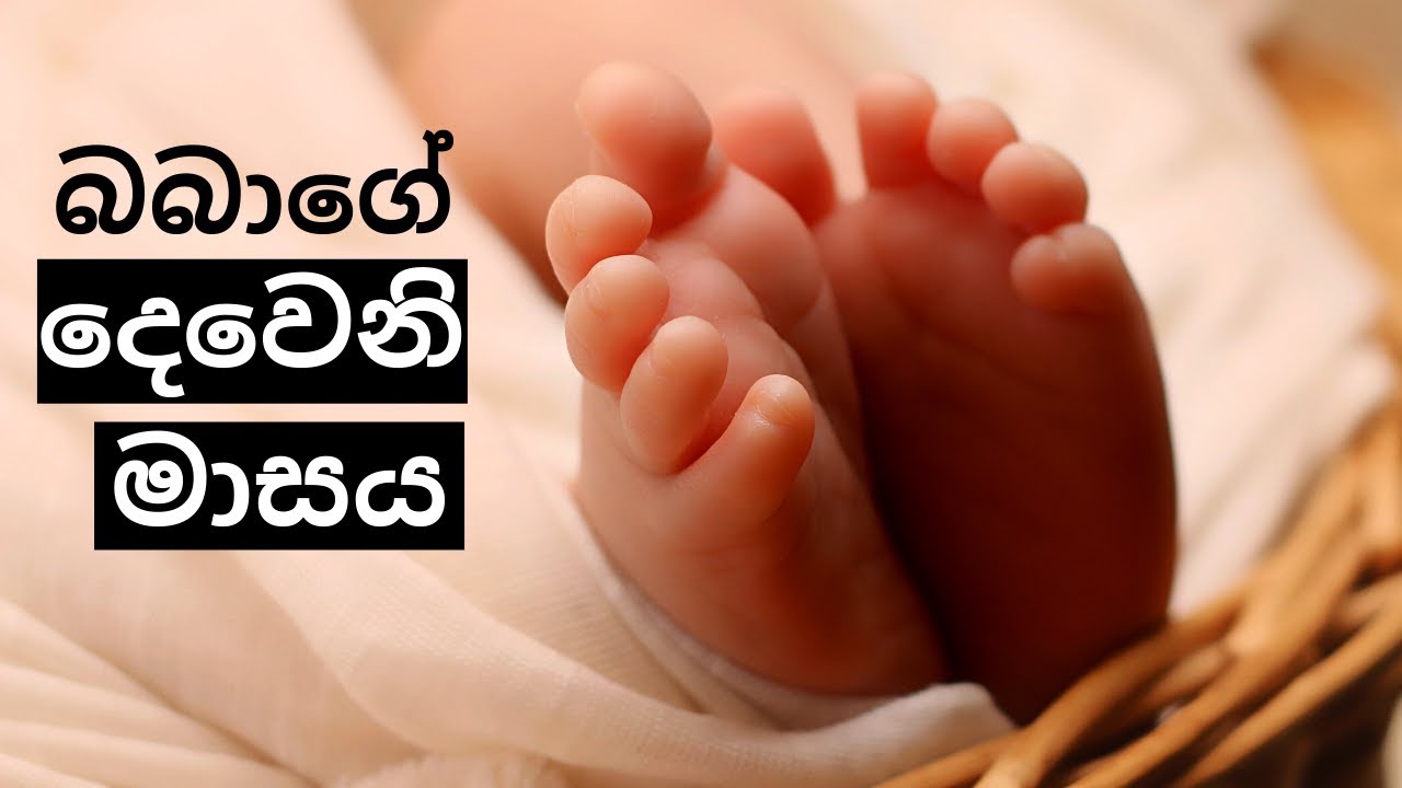 බබාගේ දෙවෙනි මාසය | 2nd Month of Your Baby | Mr. Doctor