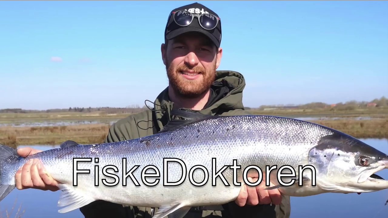 Laksepremiere i Skjern Å 2020
