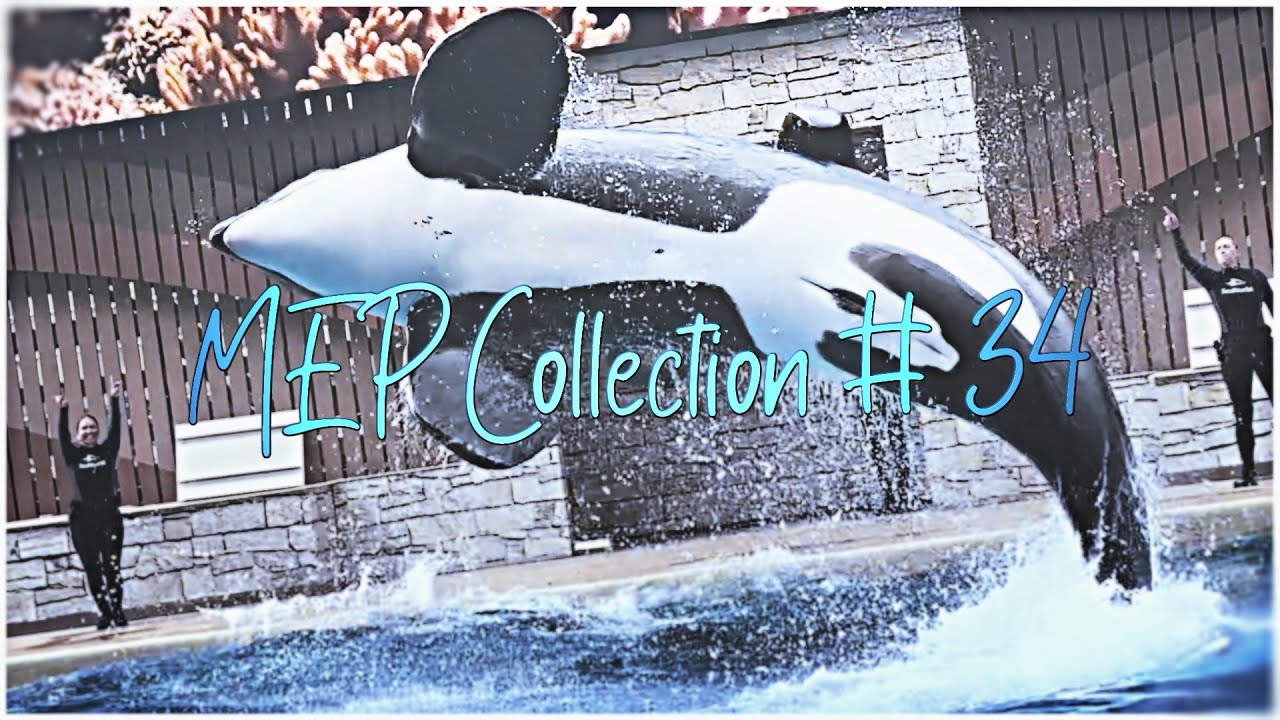 [MEP Collection #34]