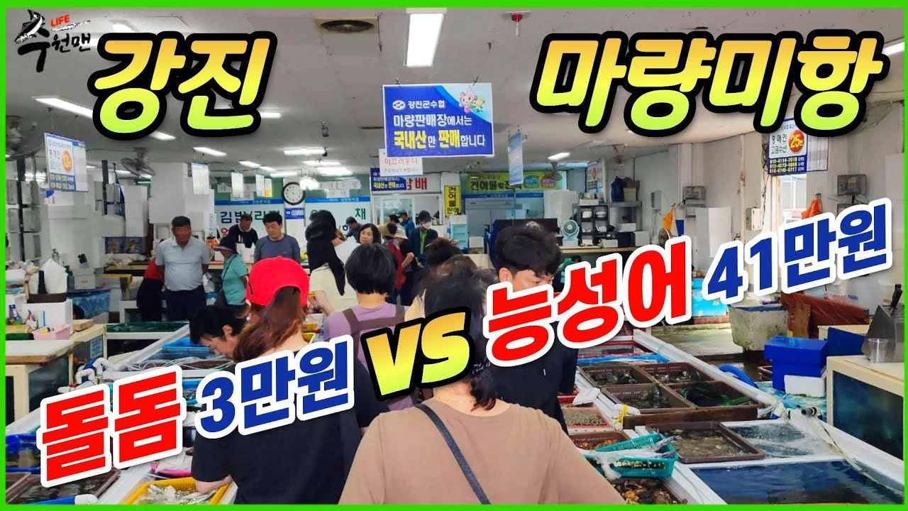 👍'놀람주의' 자연산이 천지삐까리로 깔려있는곳~ 3만원에 맛보는 자연산돌돔! 주변관광지도 담았으니 꼭 보세요~~~