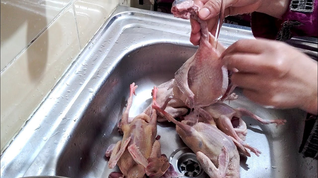 محلول نقع للتخلص من زفارة(الحمام،والفراخ، والبط)تماما