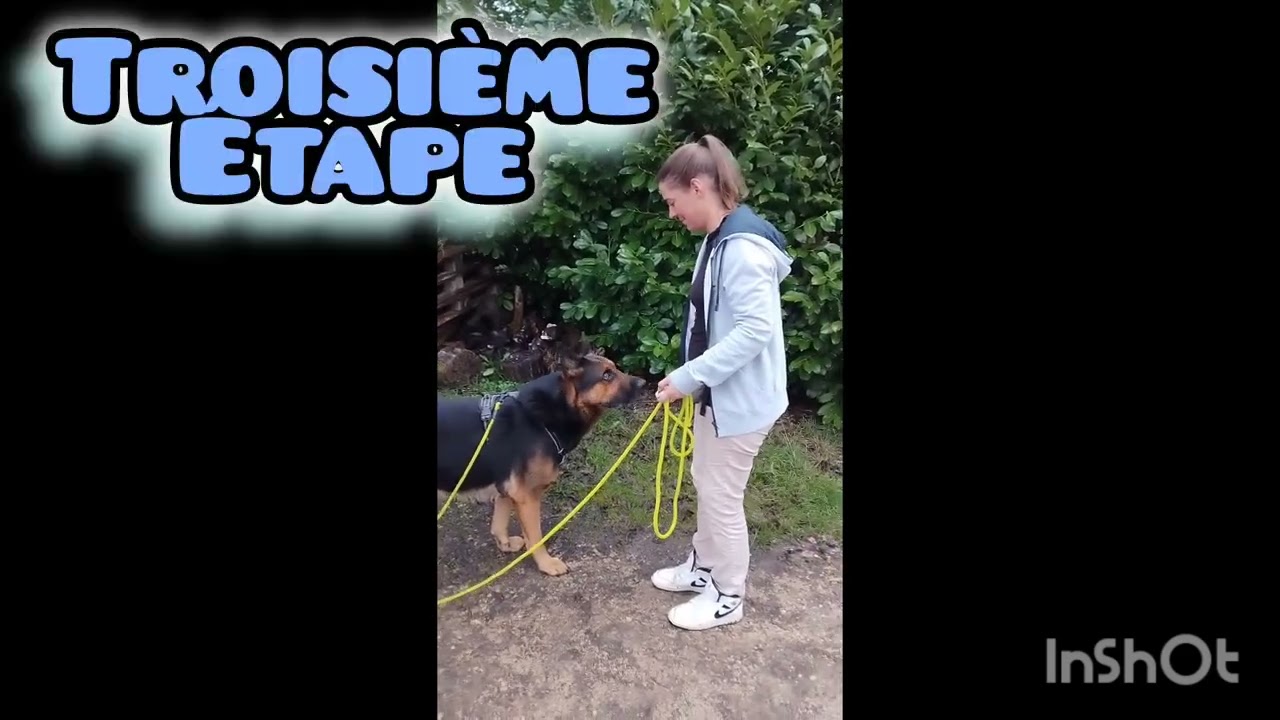 Marche au pied 