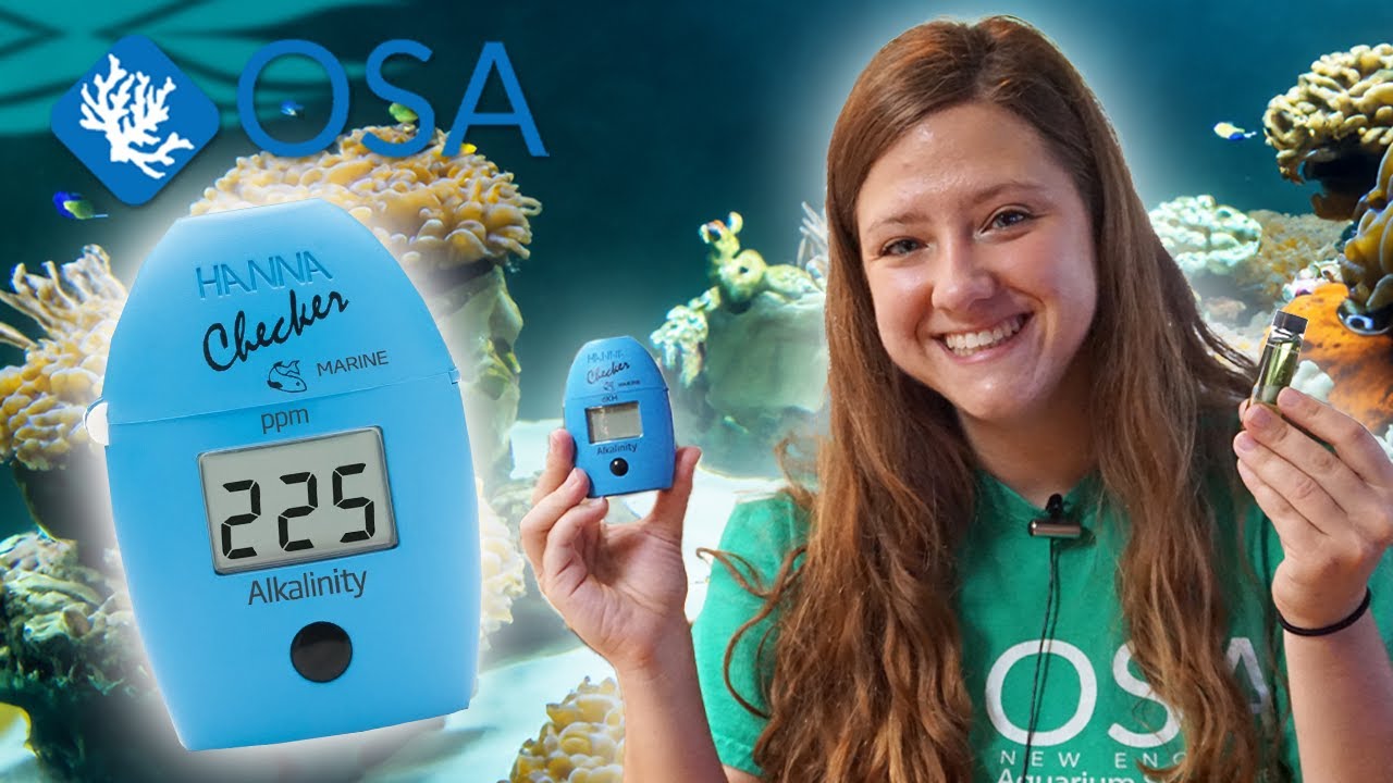 How to Test Alkalinity in YOUR Reef Aquarium!