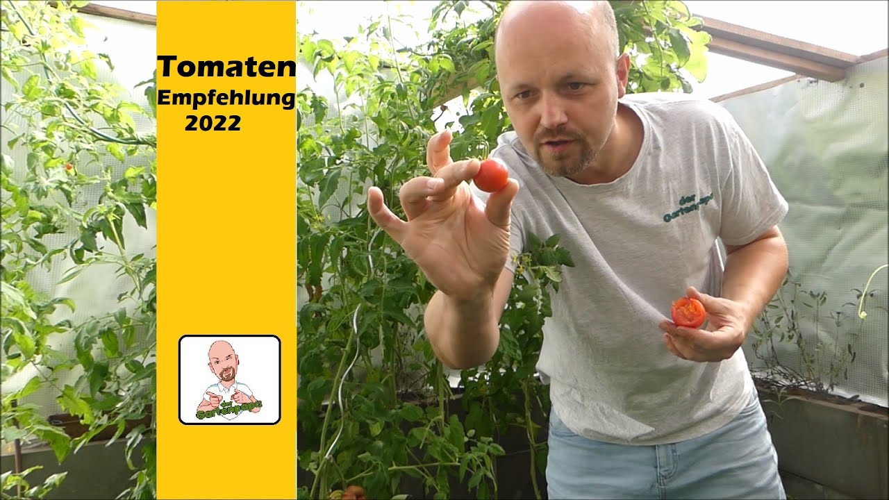 Tomatensorten 2022 / Gute und schlechte Sorten vom Gartenpapa