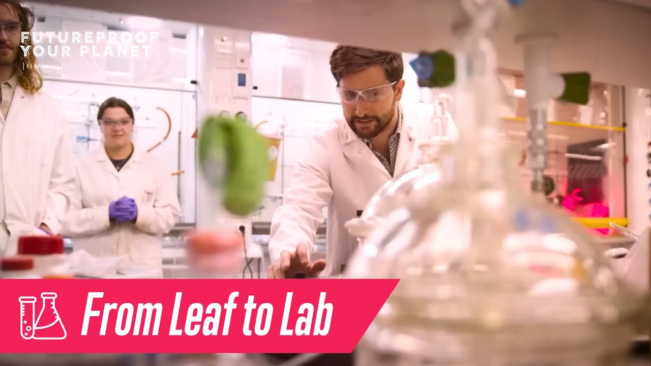 Photochemistry Gives the Green Light to Sustainable Chemical Synthesis - Futureproof Your Planet