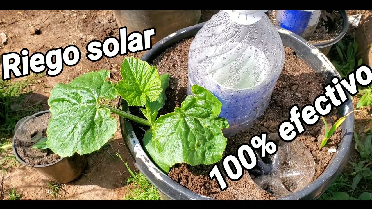 Riego solar condensacion ahorra mucha agua