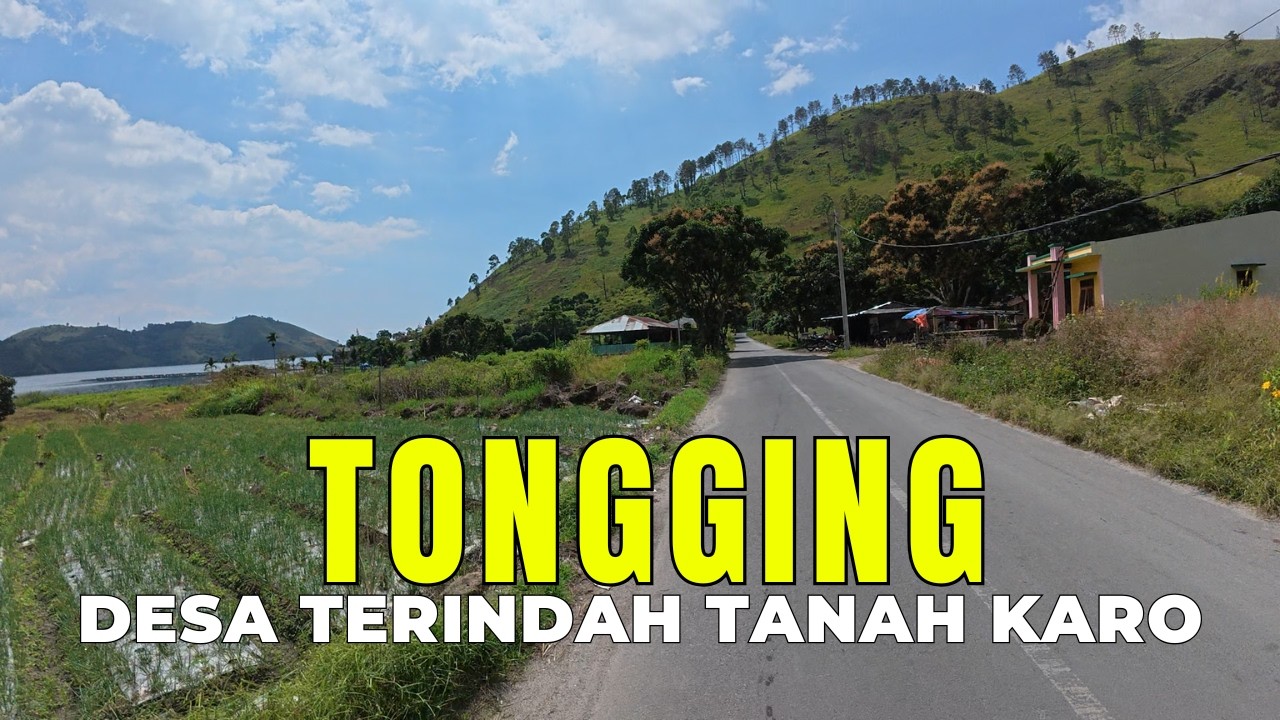 Gila Sih View-nya! Explore Tongging Danau Toba 2026 | Desa Wisata Terindah di Tanah Karo