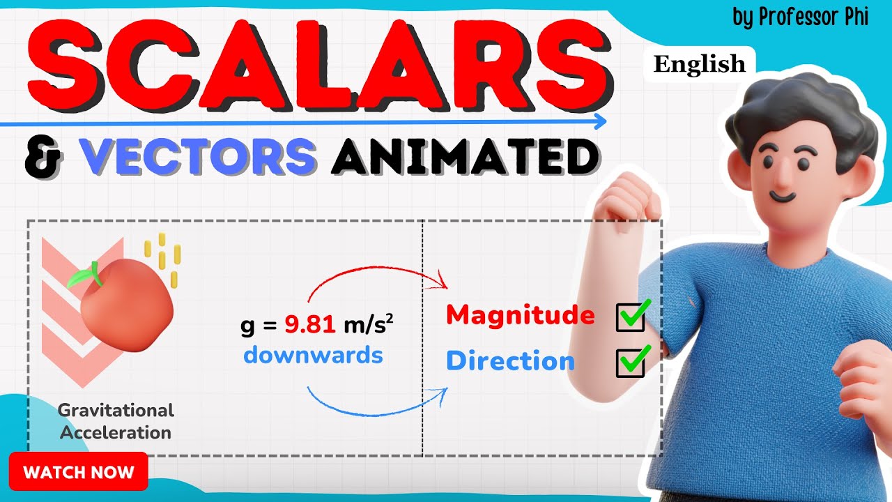 Scalars vs Vectors: the Animated Showdown
