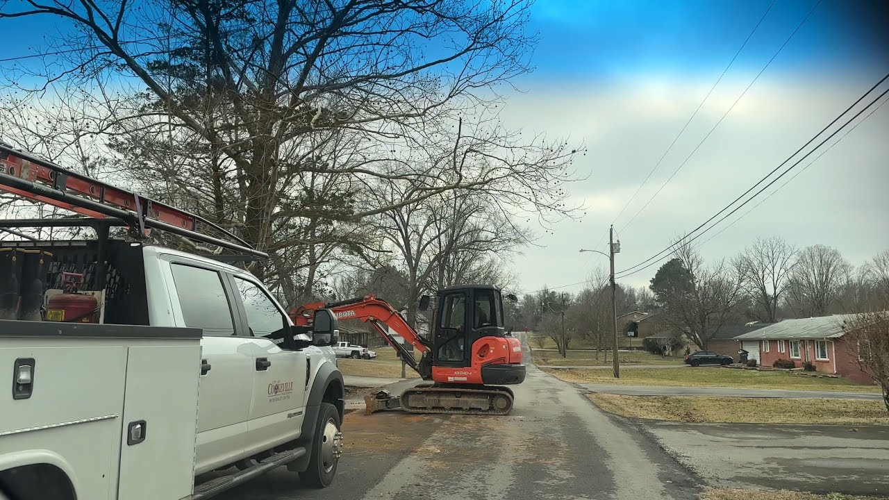 Thursday Afternoon In Some Tennessee Hoods [Very Cold Day]🥶