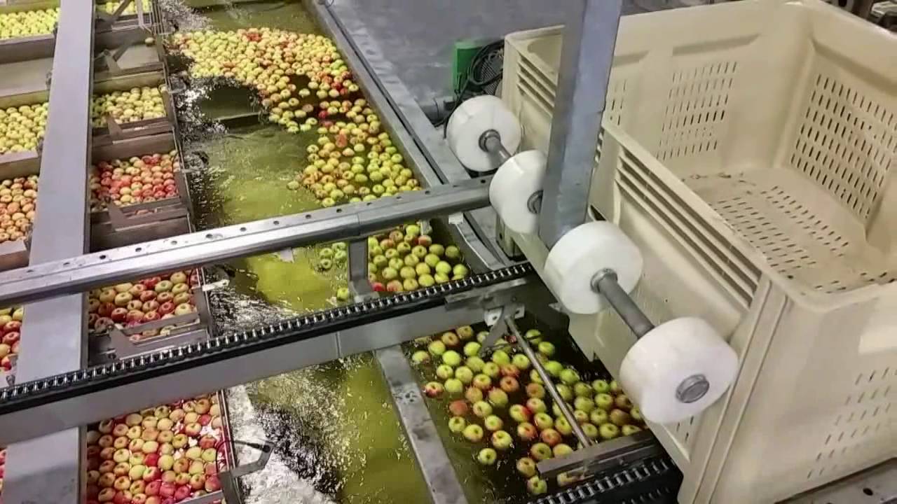2016 - VALLEY PACKERS (SOUTH AFRICA) - Pomone Apples - Pommes - Manzana