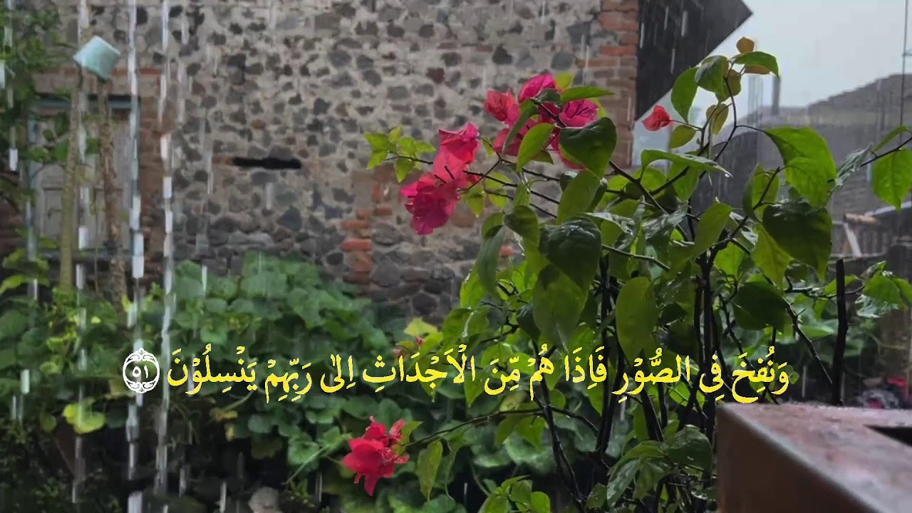 👉 Yosin surasi (to‘liq) | Chiroyli va xotirjam qiluvchi tilovat