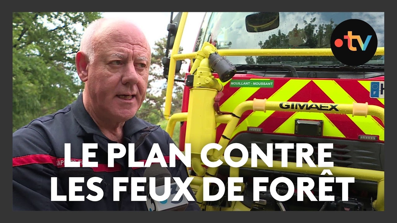 Prévention des feux de forêt : pompiers et bénévoles présentent leur plan d'action pour l'été 2025