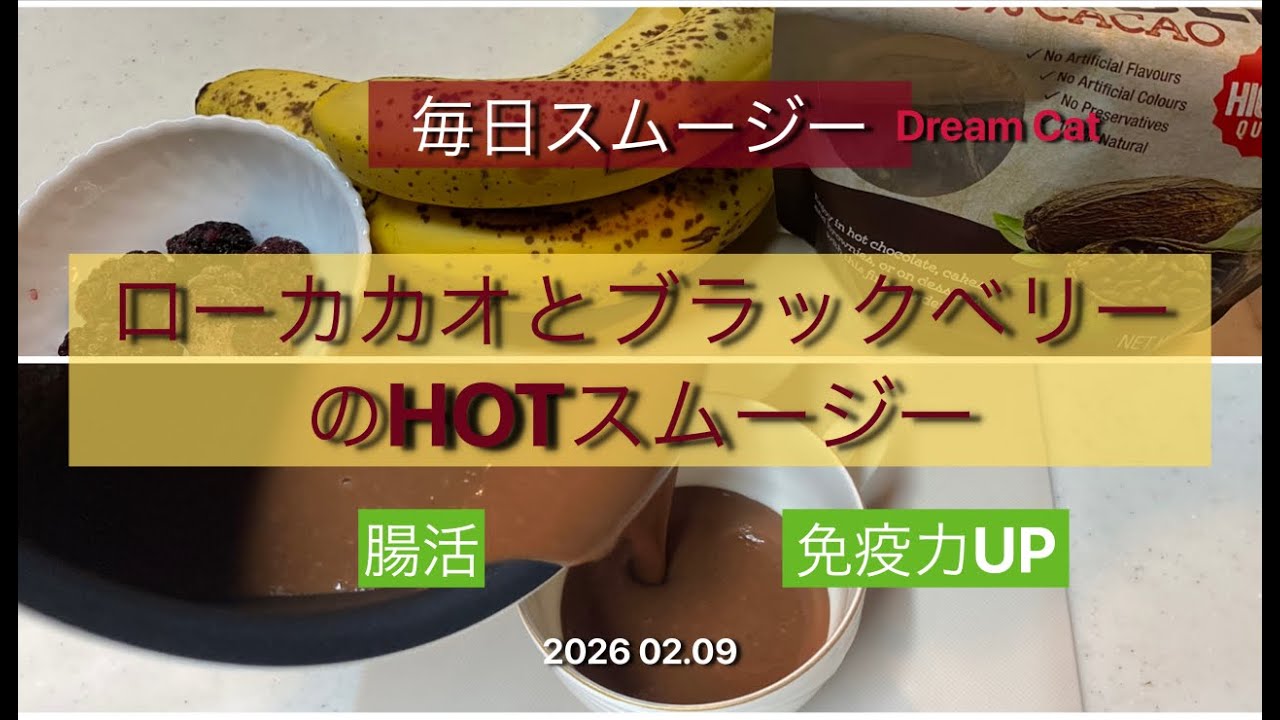 スムージー スペシャリストDream Cat 2026 02.09