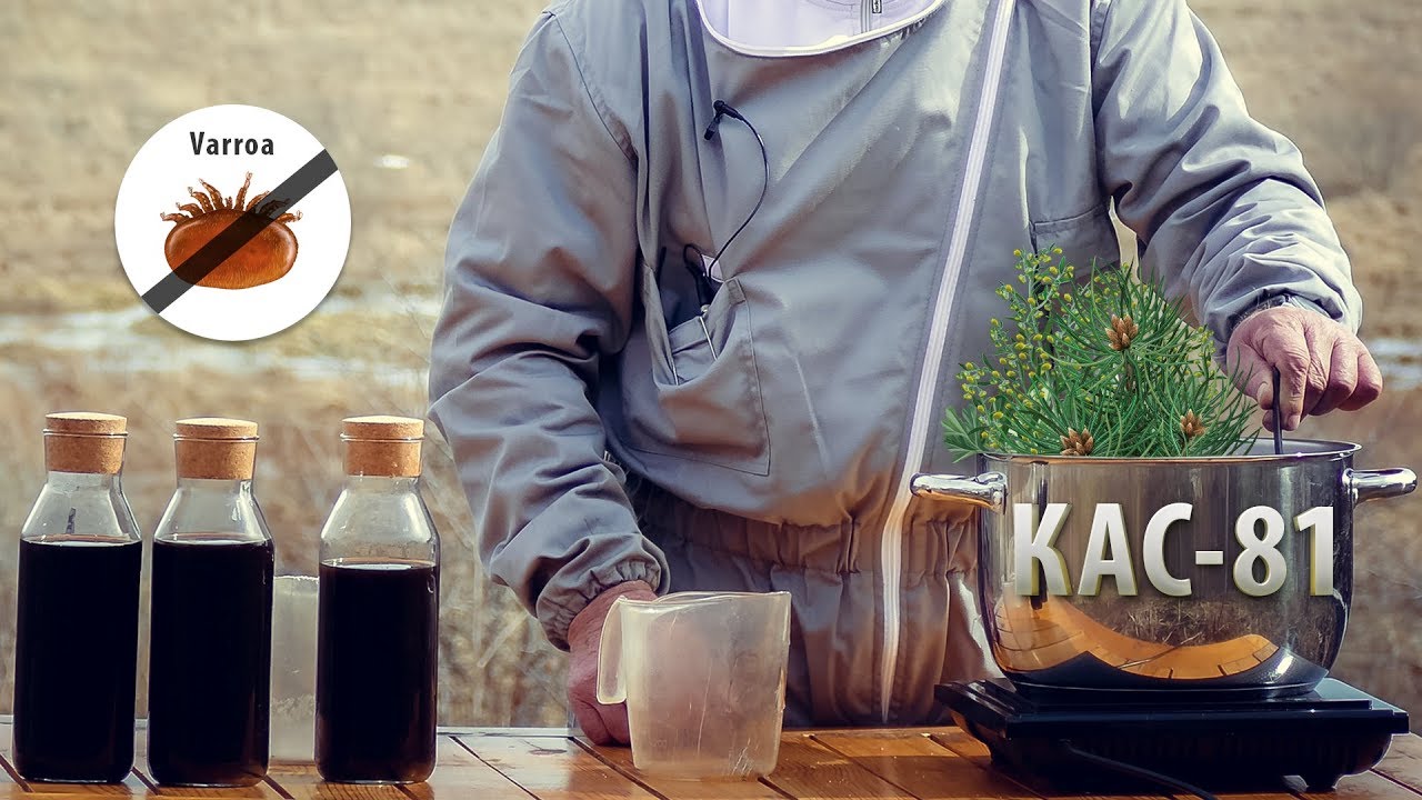 Готовим эффективный КАС-81 для пчёл