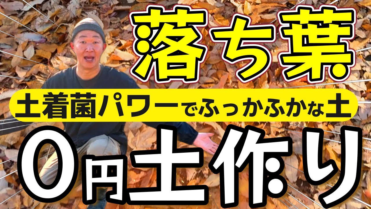 落ち葉で腐葉土作れます!!簡単０円!!♪