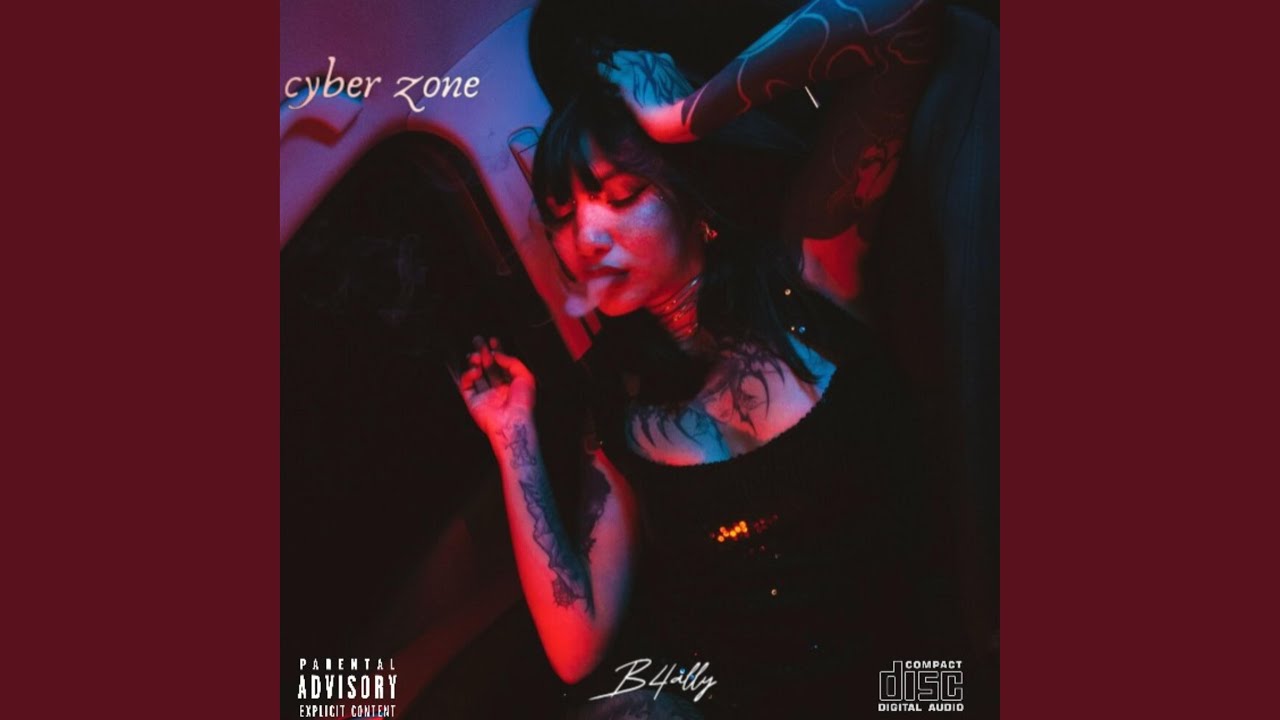 Cyber zone