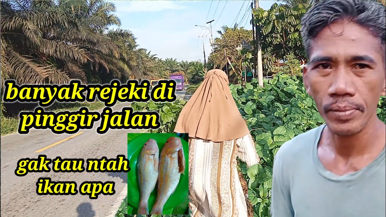 BANYAK REJEKI SAYUR DI PINGGIR JALAN LINTAS