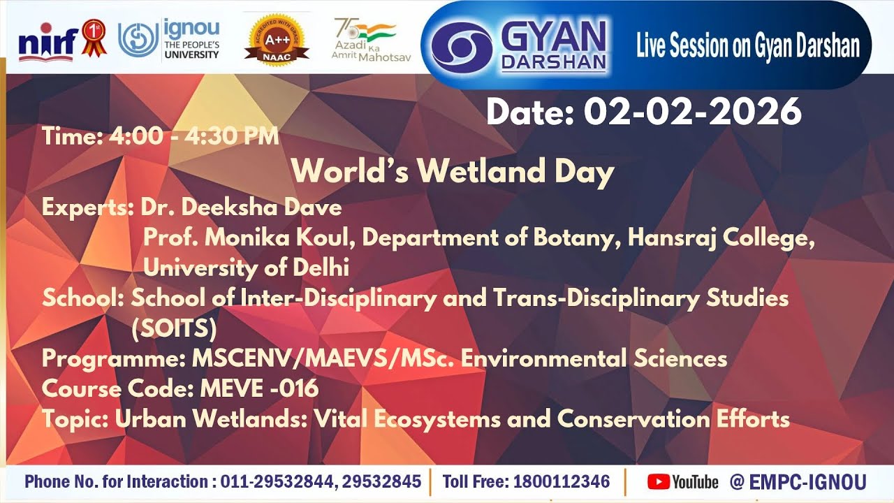 Urban Wetlands: Vital Ecosystems and Conservation Efforts