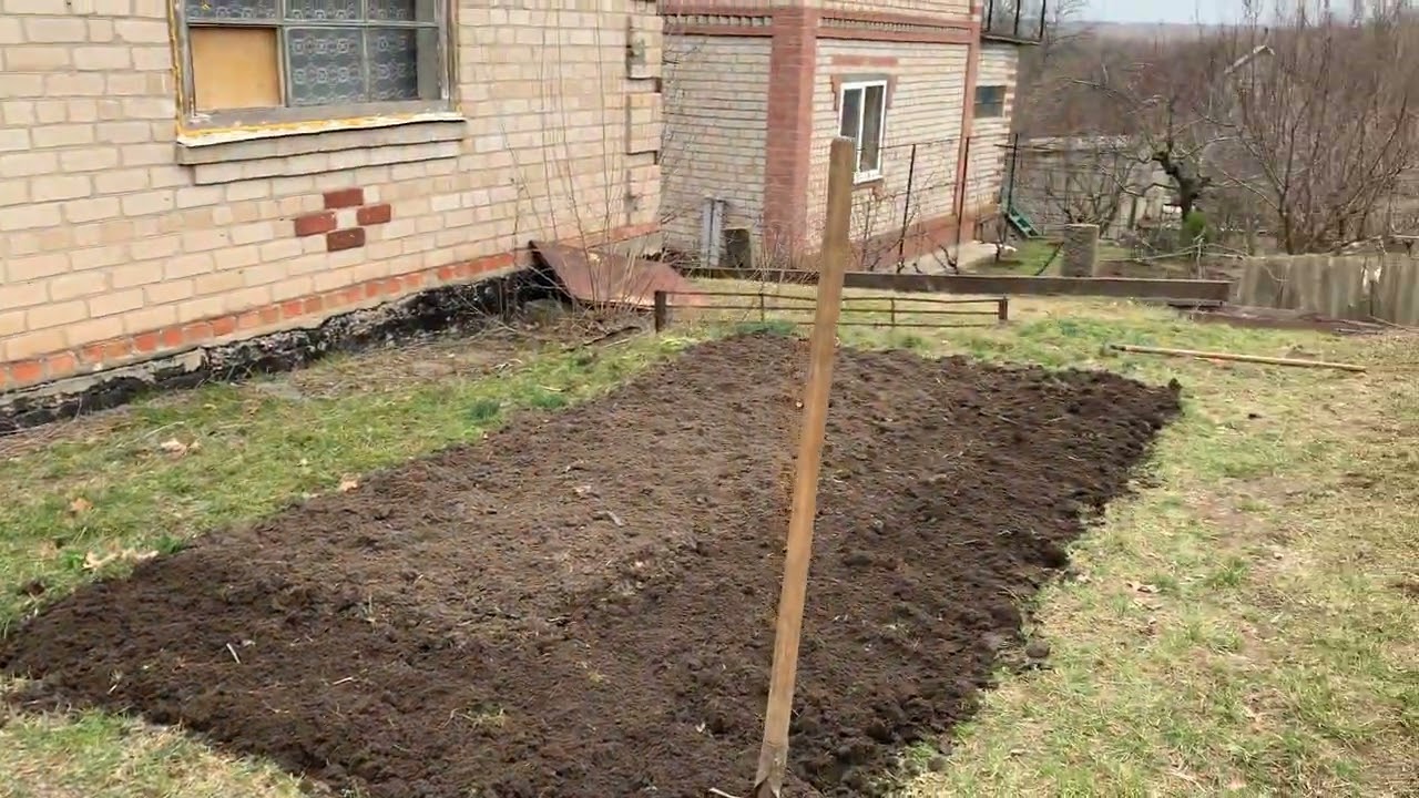 Огород 2026 / Дача в аренду /17 марта 2026 г.