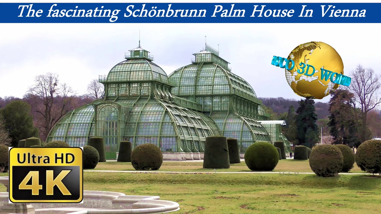 The fascinating Schönbrunn Palm House In Vienna - 4K 50p