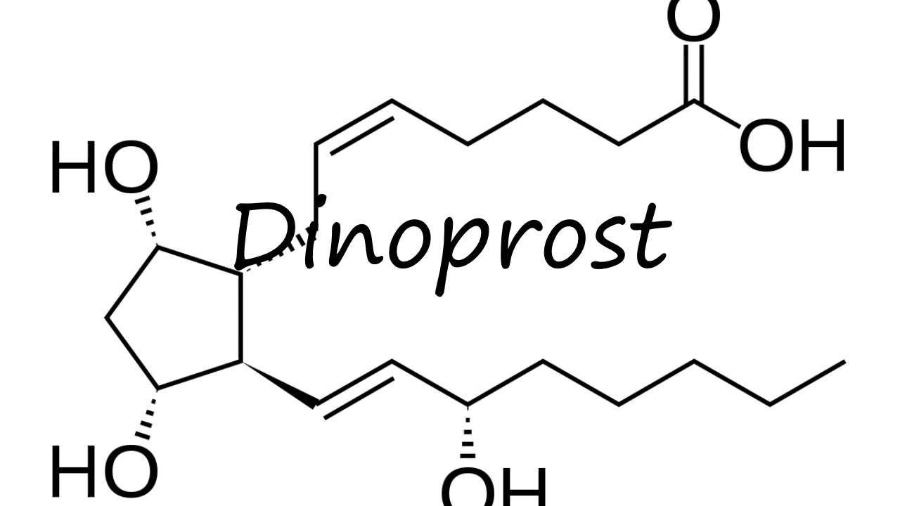 How to pronounce Dinoprost in English?